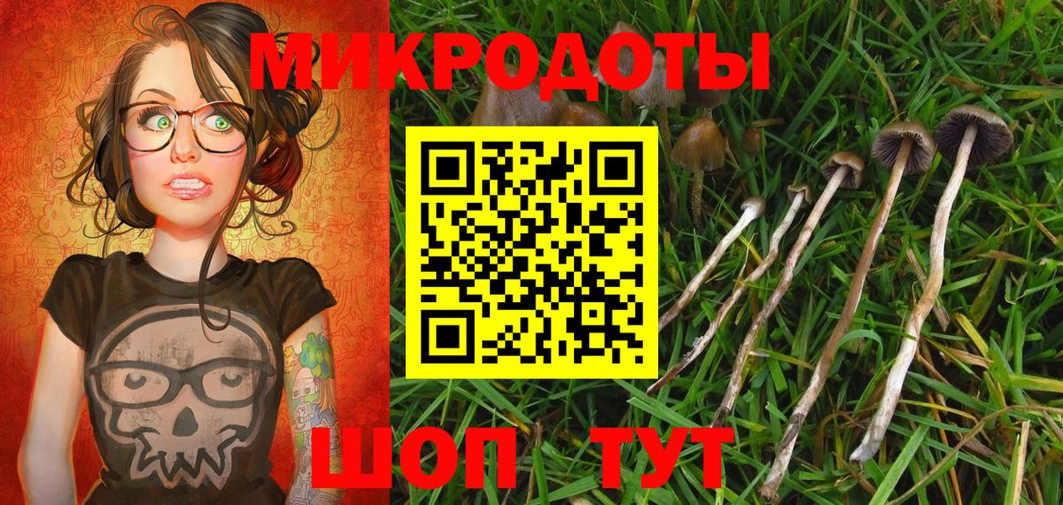 Карпинск  Псилоцибиновые грибы Cubensis  Вход с VPN  Псилоцибиновые грибы MAGIC MUSHROOMS 